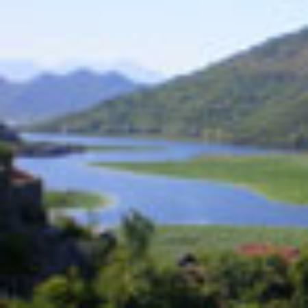 L'artista Del Krapfen